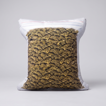 Load image into Gallery viewer, Lifesize Za Pack Pillow - 2 Feet
