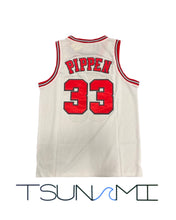 Cargar imagen en el visor de la galería, Scottie Pippen Chicago Bulls Hardwood Classics 1997-98 Jersey
